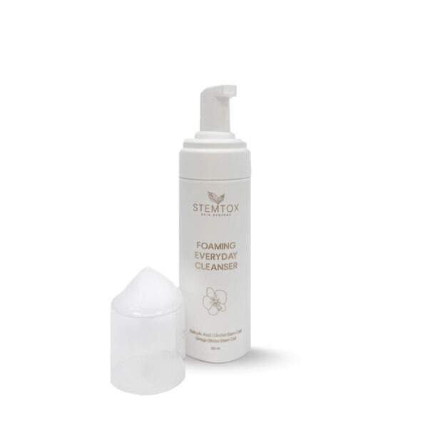 Foaming Everyday Cleanser - 2